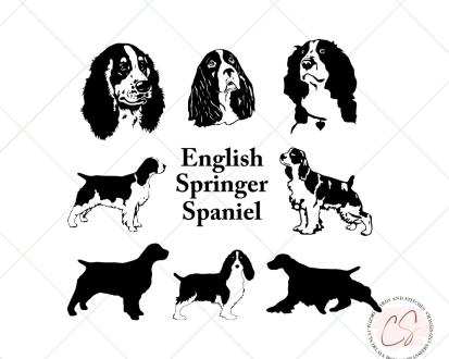 English Springer Spaniel SVG and Clipart Bundle 1